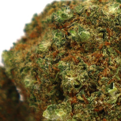 Triple Scoop CBD - COOKIES - sixty8.pl