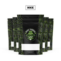 Box HHX MAGIC FARMERS - sixty8.pl