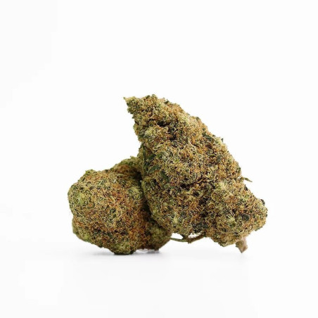 Kwiaty Apple Fritter CBD - sixty8.pl