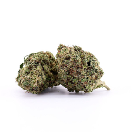 Kwiaty Banana Sour CBG 16% - sixty8.pl