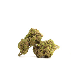 Kwiaty Watermelon Skittlez CBD - sixty8.pl