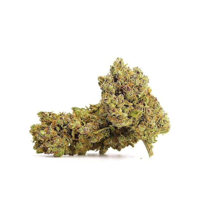GMO Cookies 13% CBD - sixty8.pl GMO Cookies 13% CBD - sixty8.pl
